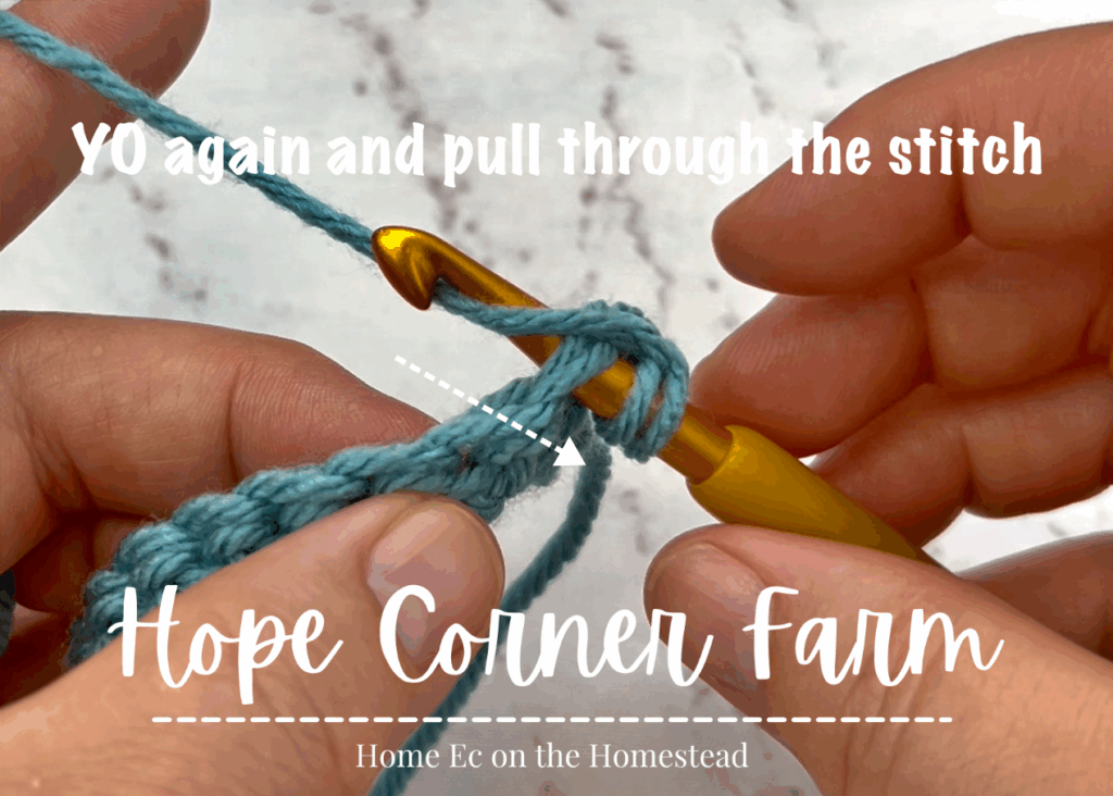 YO and pull through the stitch