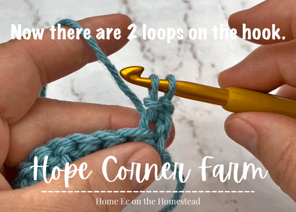 Now there are 2 loops of yarn on the crochet hook