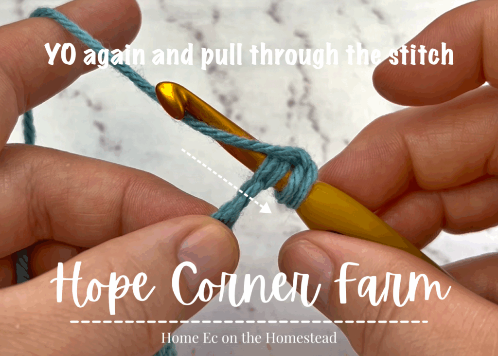 YO and pull through the stitch