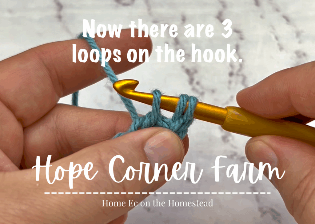 3 loops of yarn on the crochet hook