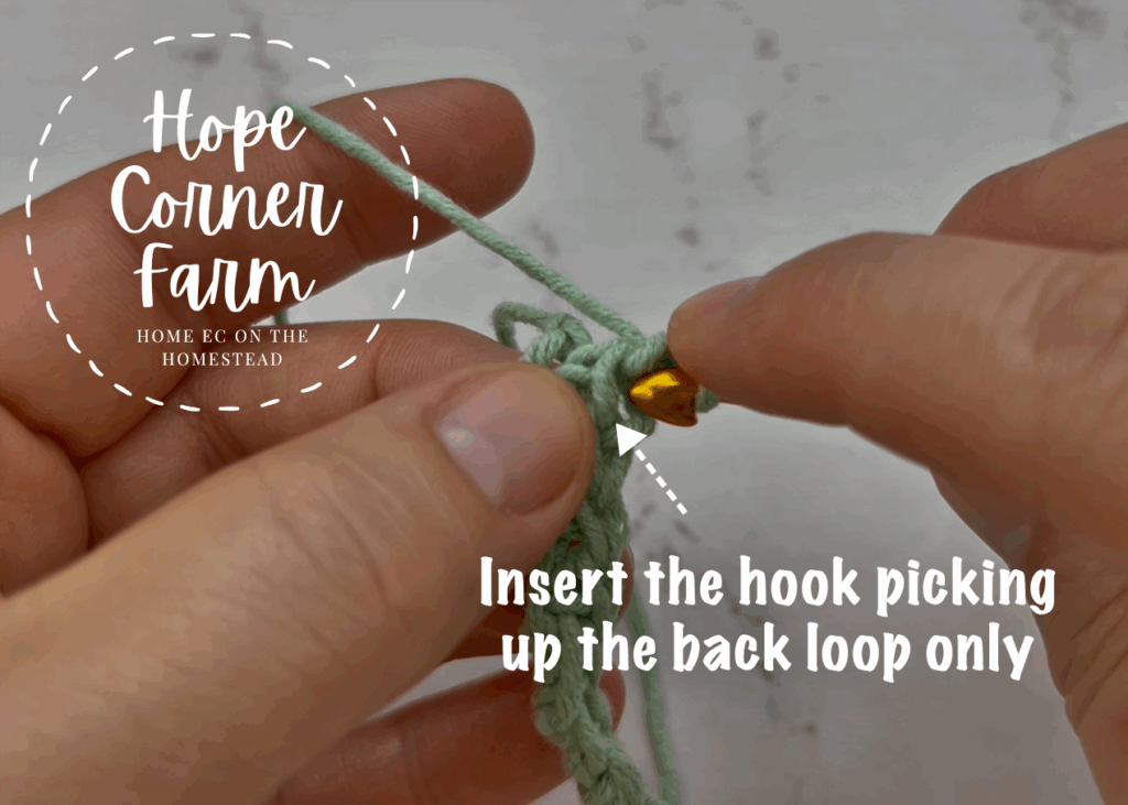 Insert the hook picking up the back loop only