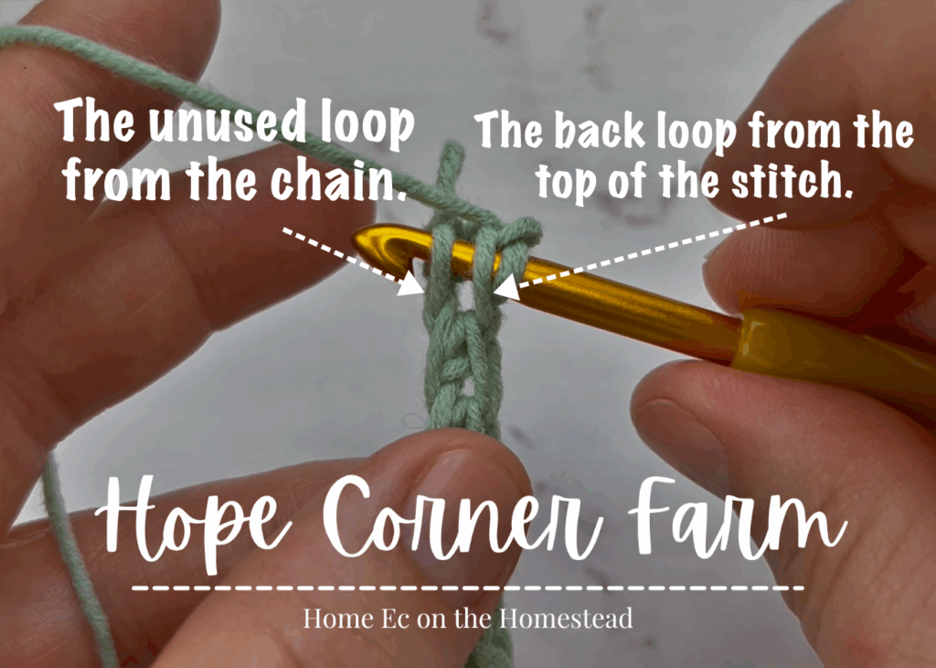 The unused loop and the back loop