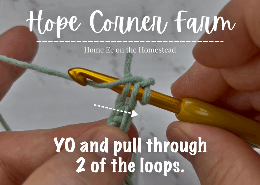 Yarn over and pull through 2 of the loops on the hook