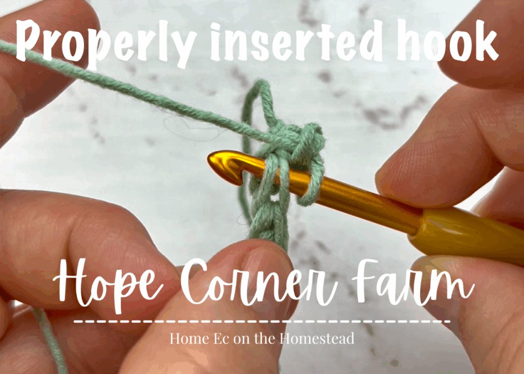 Properly inserted crochet hook