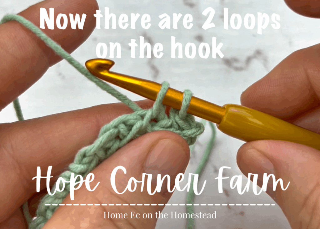 2 loops of yarn remain on the crochet hook