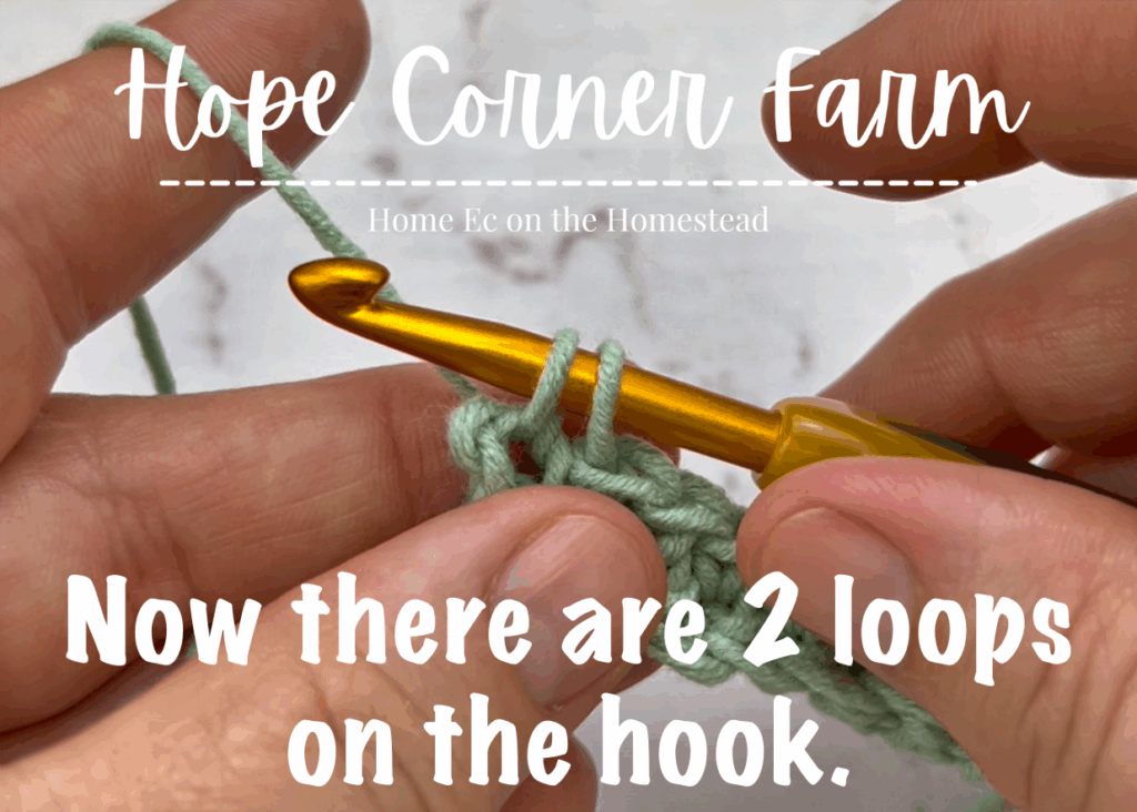 2 loops of yarn remain on the crochet hook