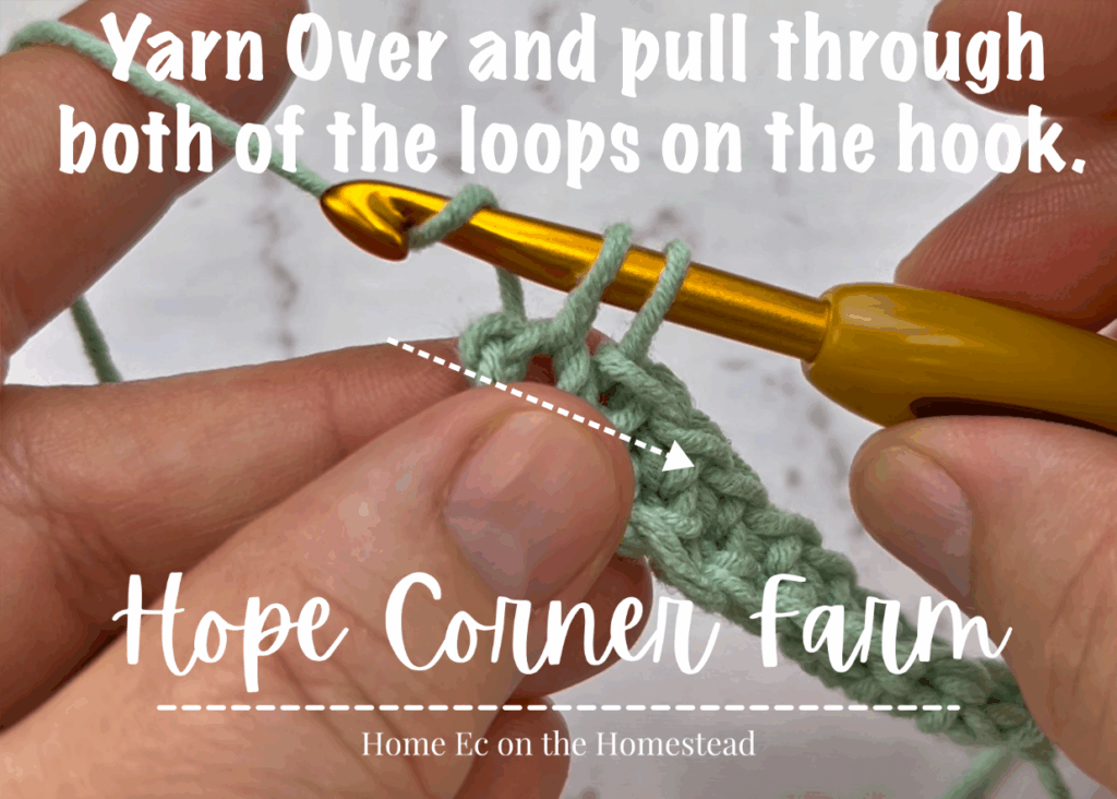 YO and pull through both loops