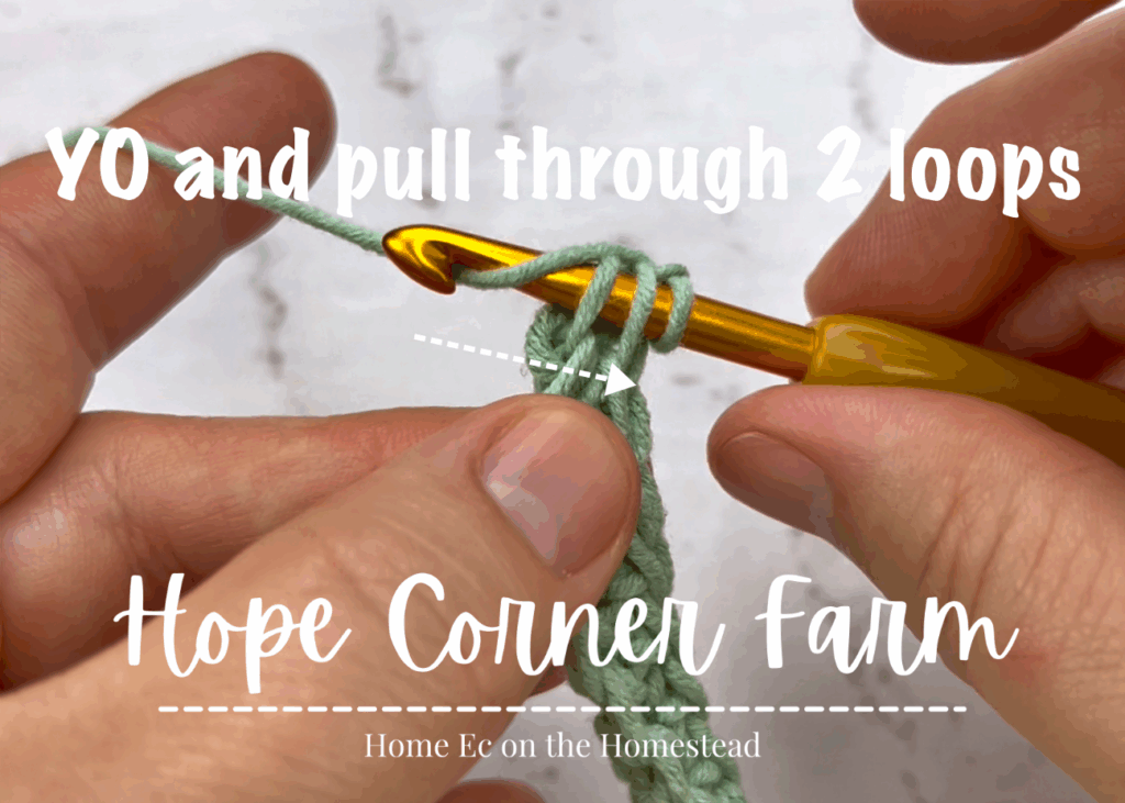 Yarn Over and Pull through 2 loops of yarn