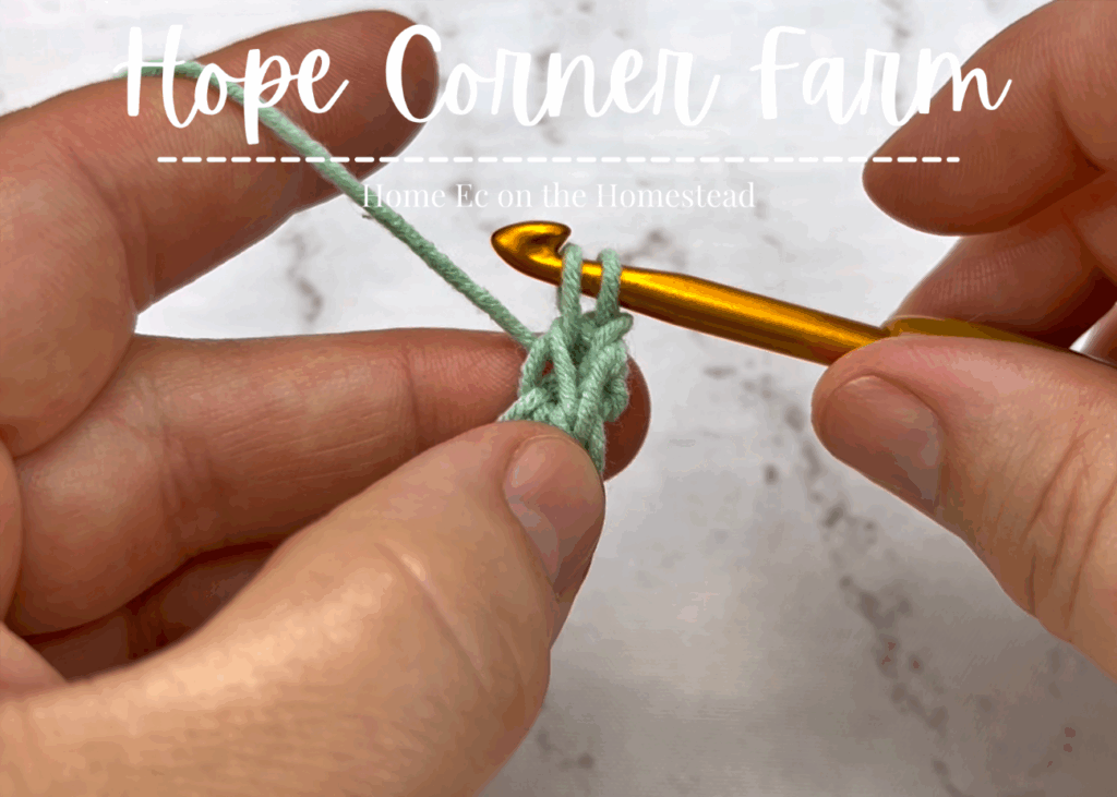 2 loops of yarn on the hook thermal sc