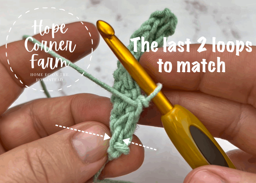 The last 2 loops of yarn to match for the row