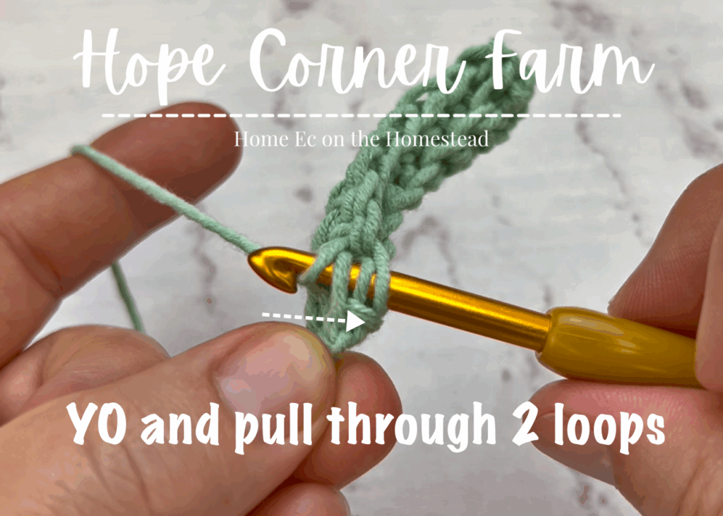 YO and pull through 2 loops