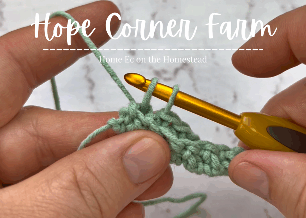 2 loops on the crochet hook