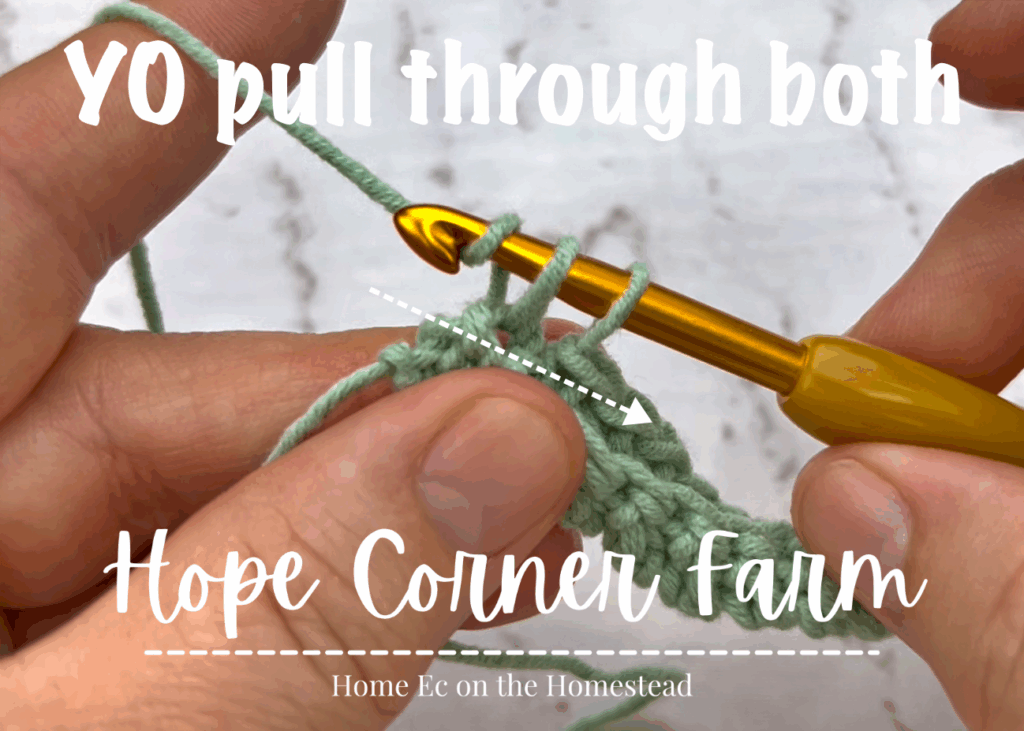 Yarn over and pull through both loops