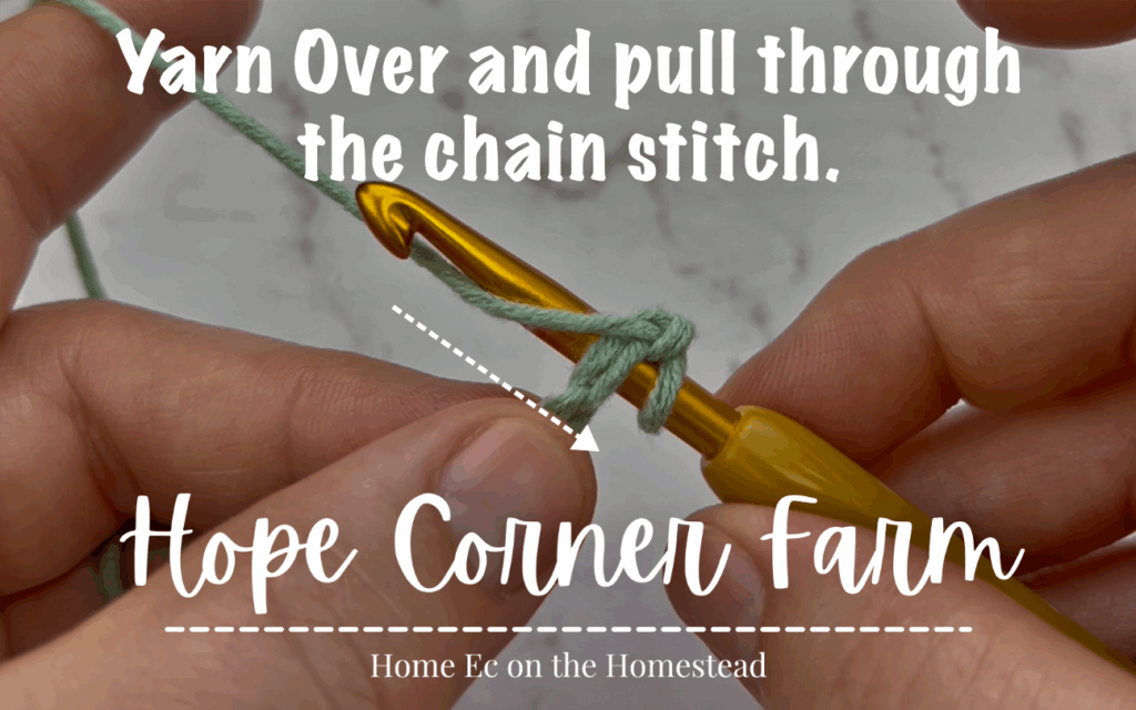 Yarn Over and pull through the chain stitch