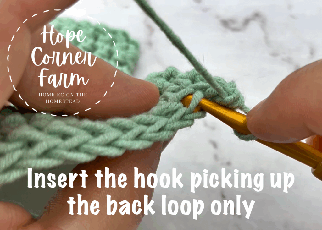 Insert the crochet hook picking up the back loop only