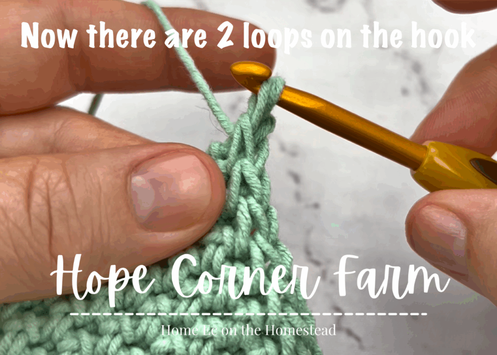 now there are 2 loops of yarn on the crochet hook