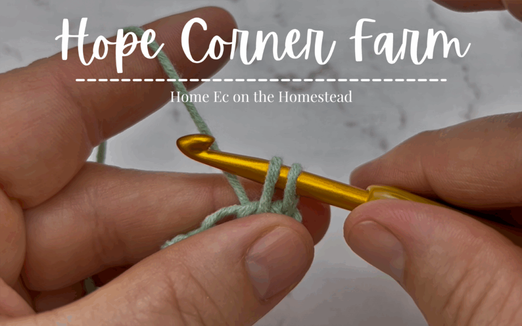 2 loops of yarn on the crochet hook