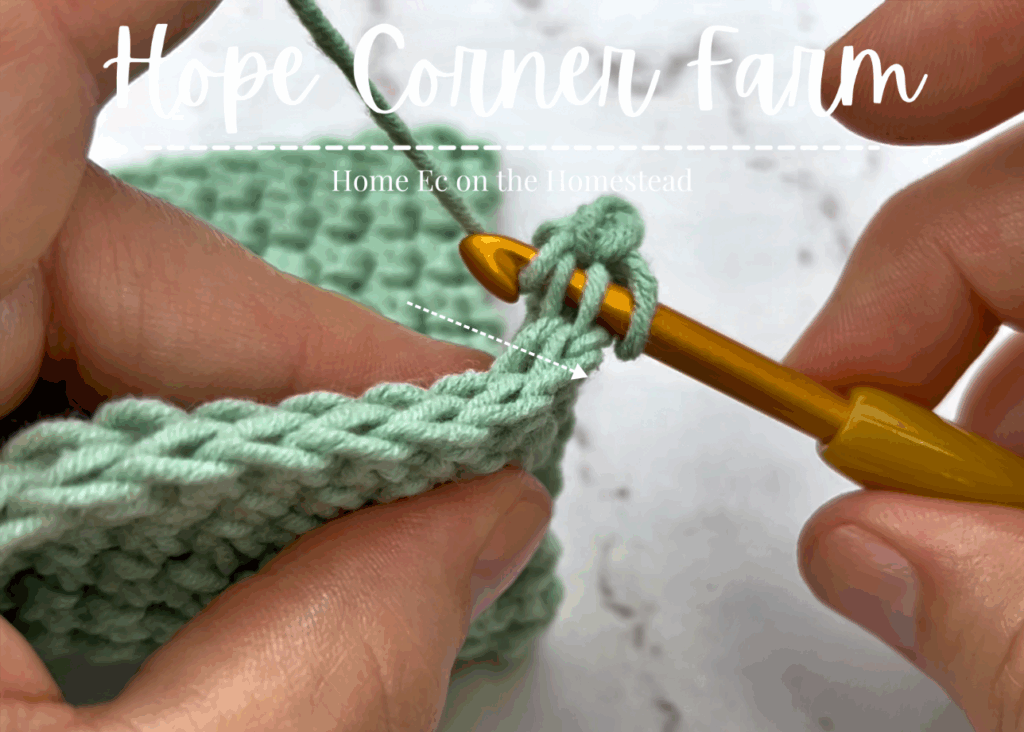 Yarn over and pull through 2 loops on the crochet hook