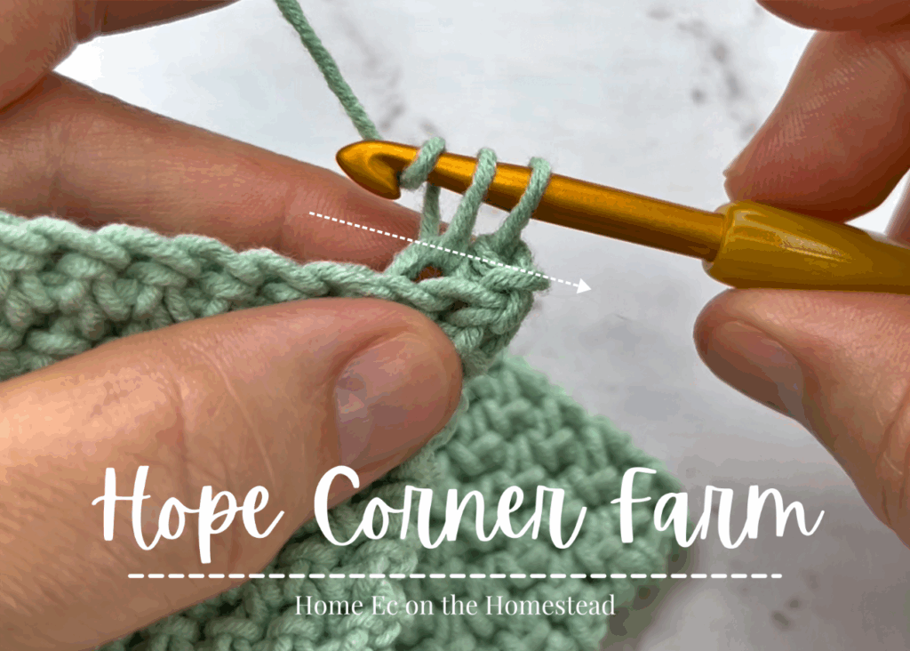 Yarn over and pull through both loops on the crochet hook