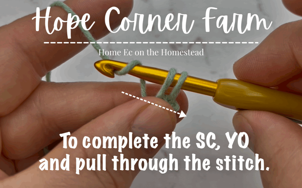 To complete the SC, YO and pull through the stitch