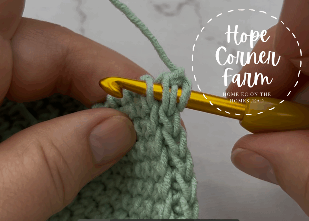 What it looks like when the crochet hook is in the correct place