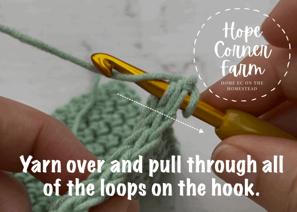 Yarn over and pull through all of the loops on the crochet hook