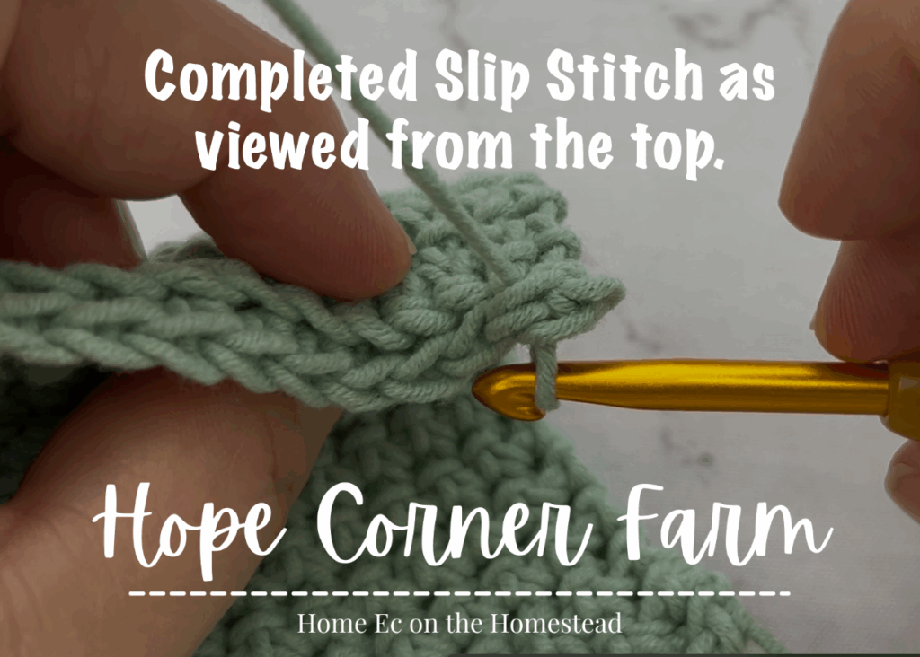 Completed Slip Stitch for the row