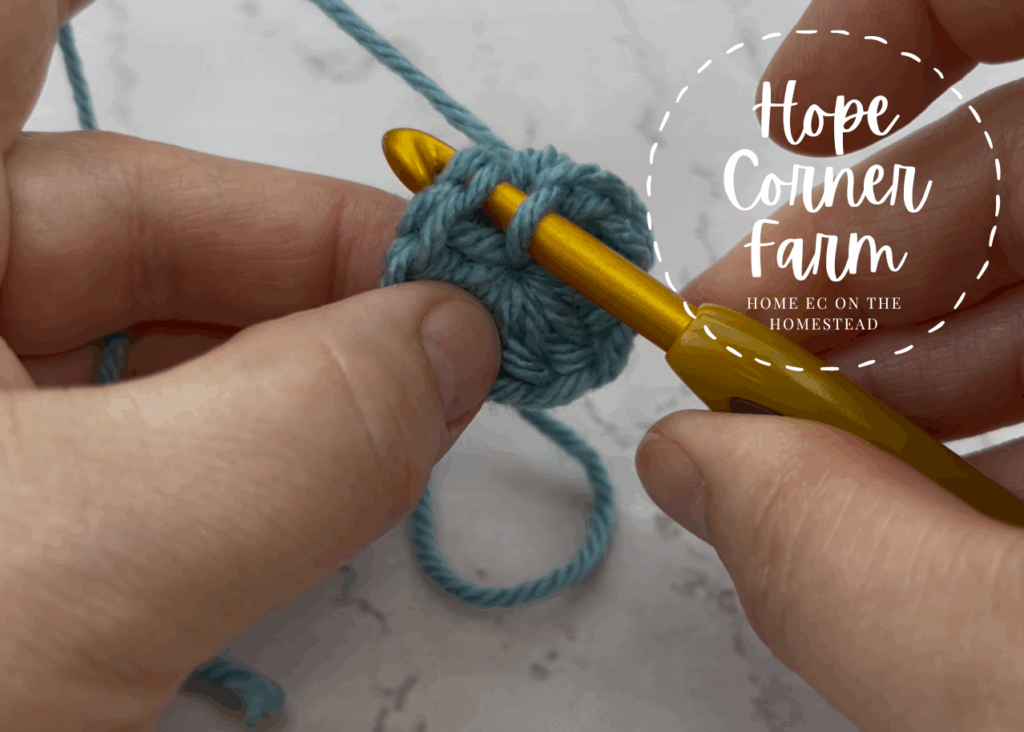 Inserting the crochet hook into the crochet stitch