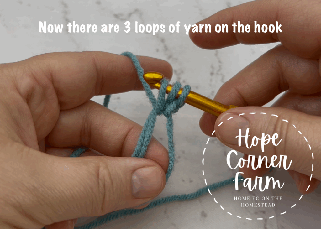3 loops of yarn on the crochet hook