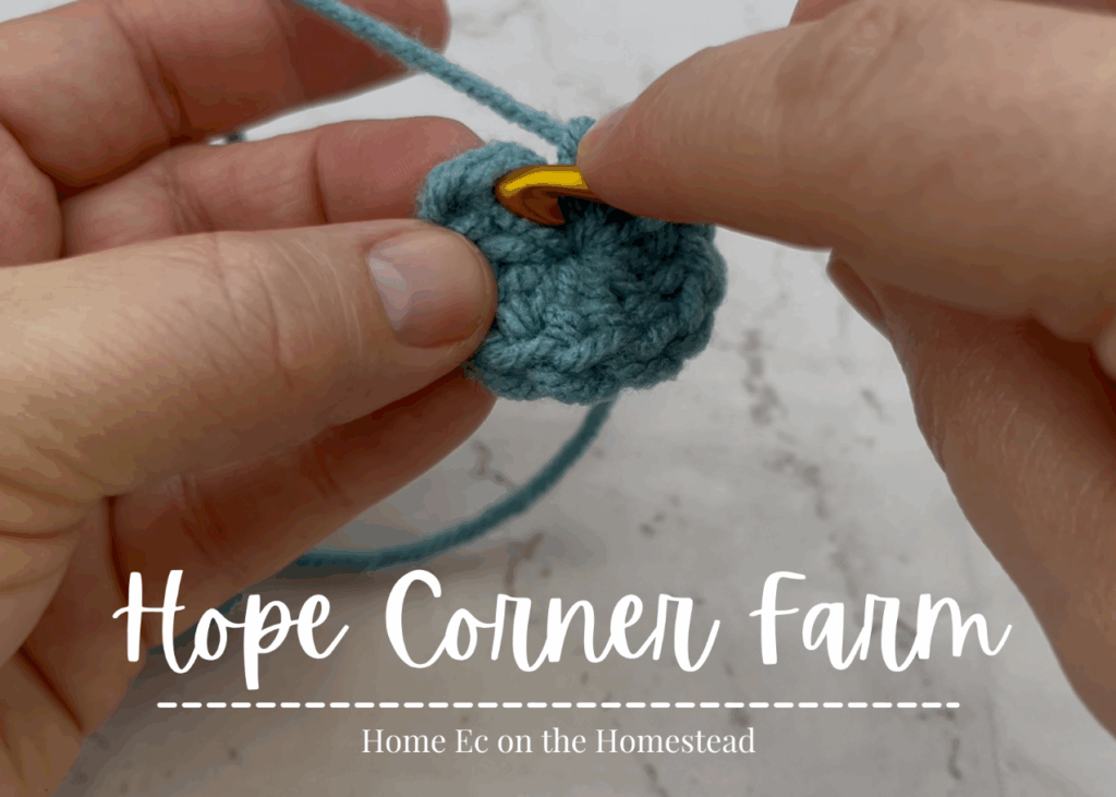 Slip stitch to the 1st stitch