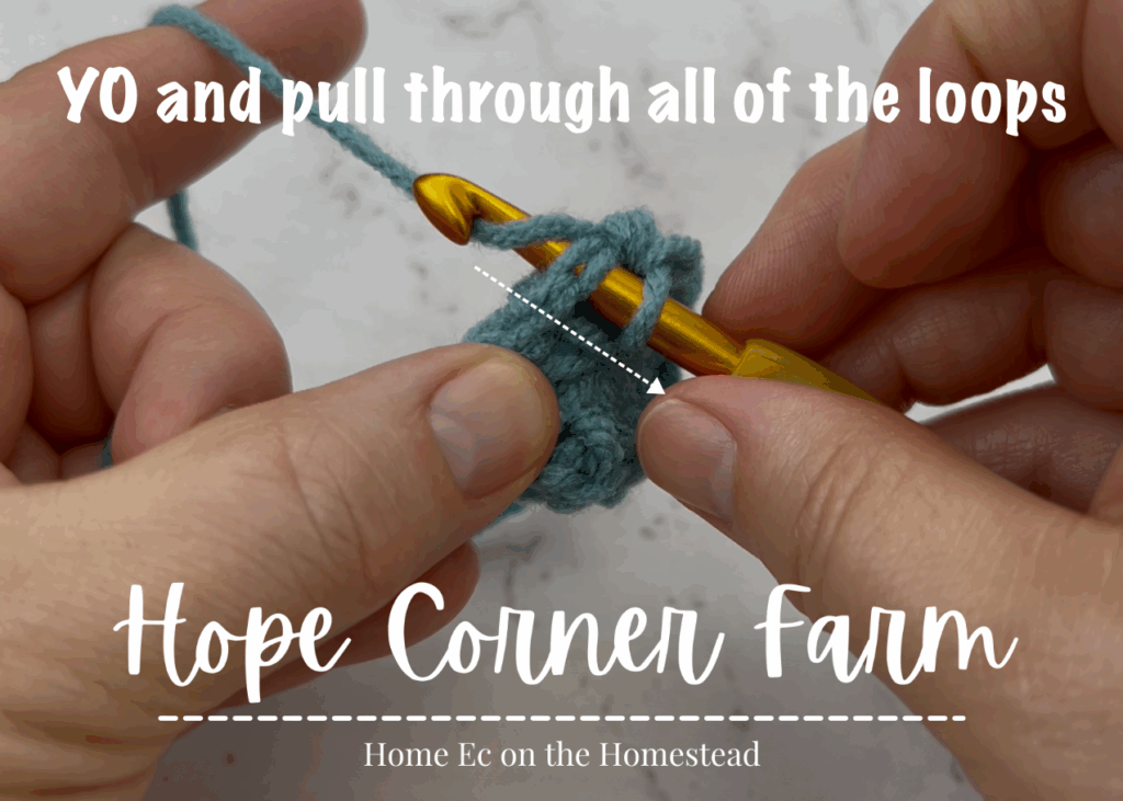 Yarn over and pull through all of the loops on the crochet hook