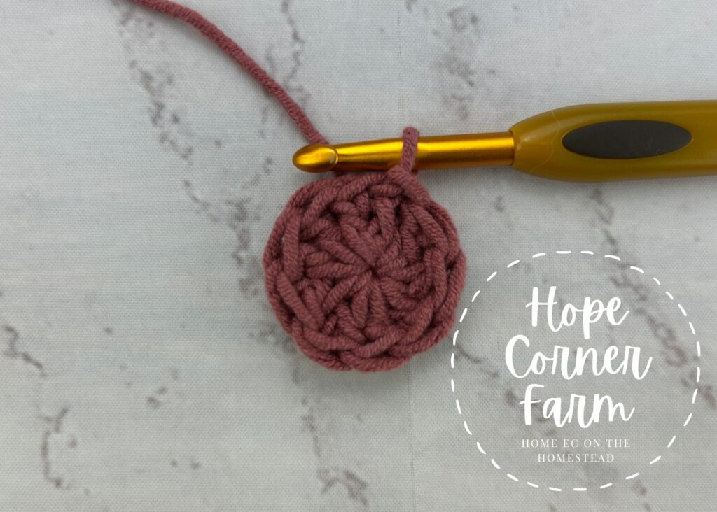 How to Crochet the Magic Circle