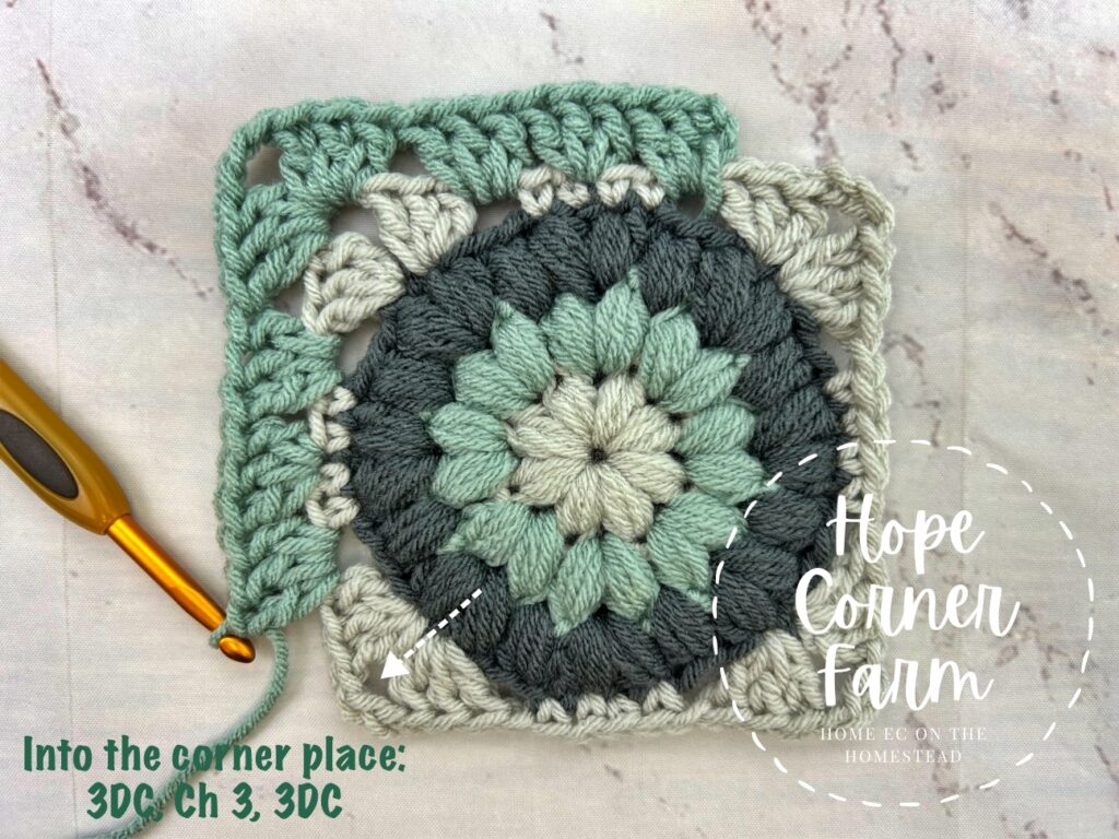 Into the corner place 3 DC, Ch 3, 3Dc