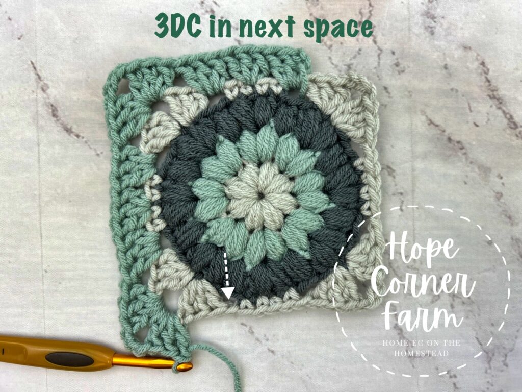 3 double crochets in the next space
