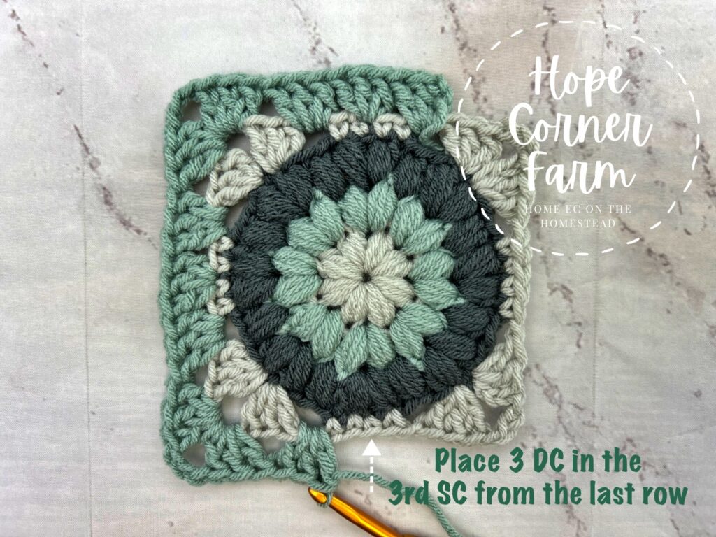 Place3 DC in the 3rd SC from the last row