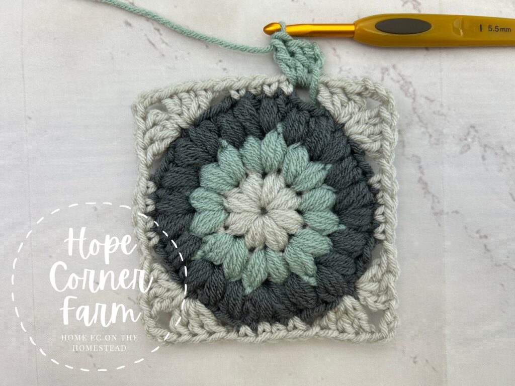 Place 2 more double crochets into the same space