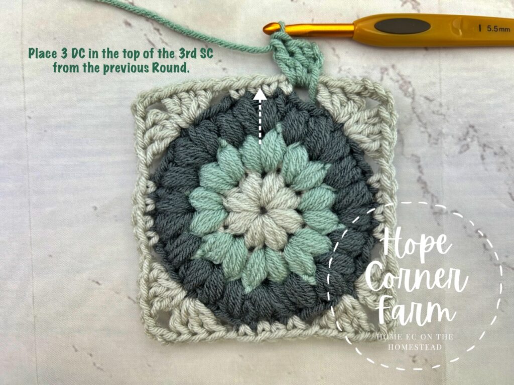 Place 3 DC into the top of the 3rd single crochet from the previous round