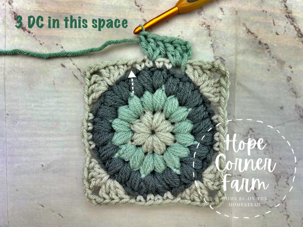 Put 3 double crochets into the next space