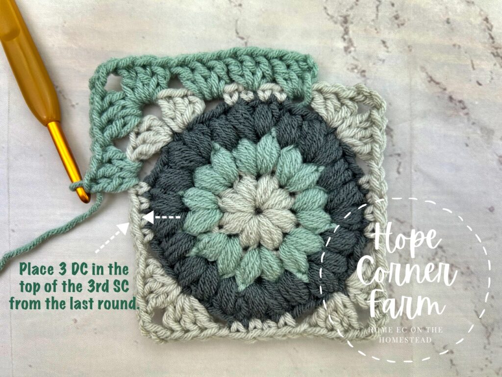 Place 3 Double Crochets in the top of the 3rd SC from the previous round