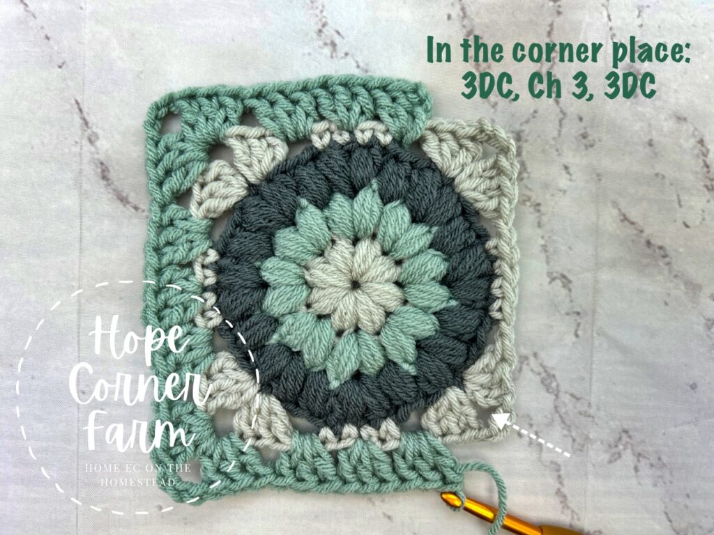 In the corner place 3DC, Ch 3, 3DC