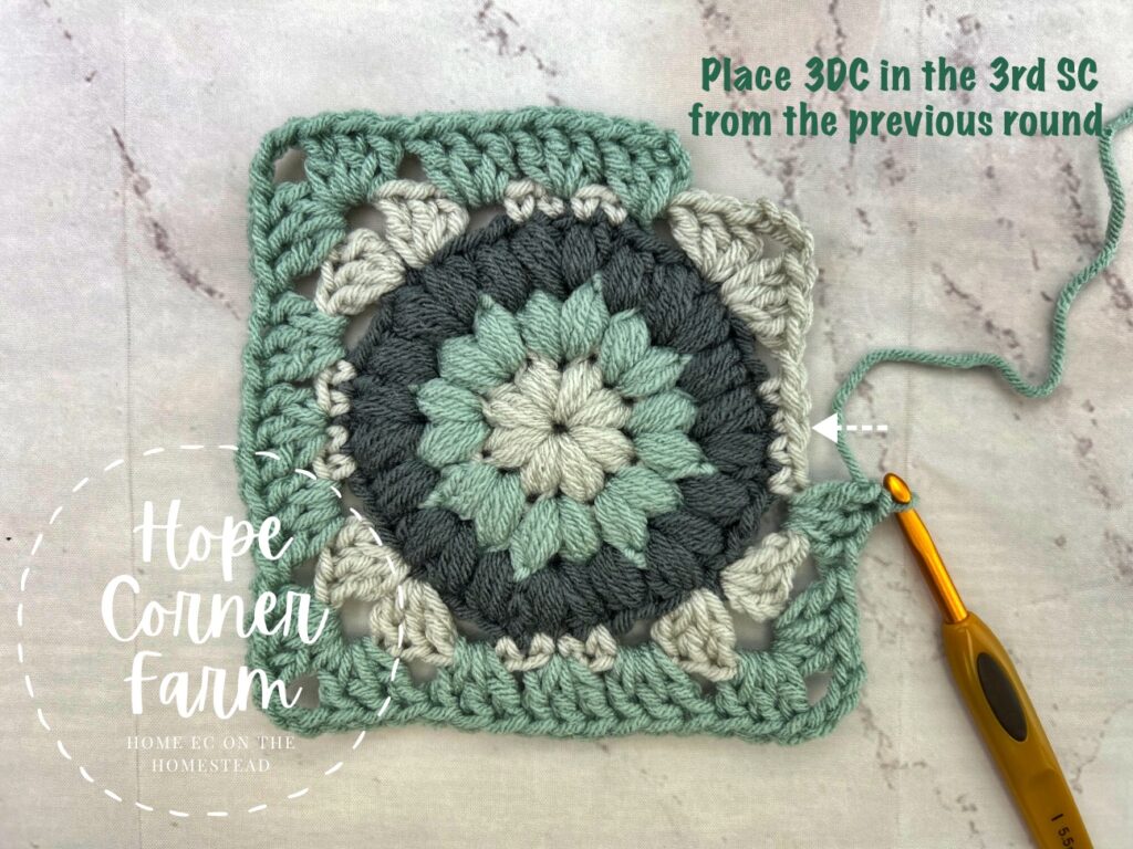 3 double crochets in the 3rd SC from the previous round of crochet