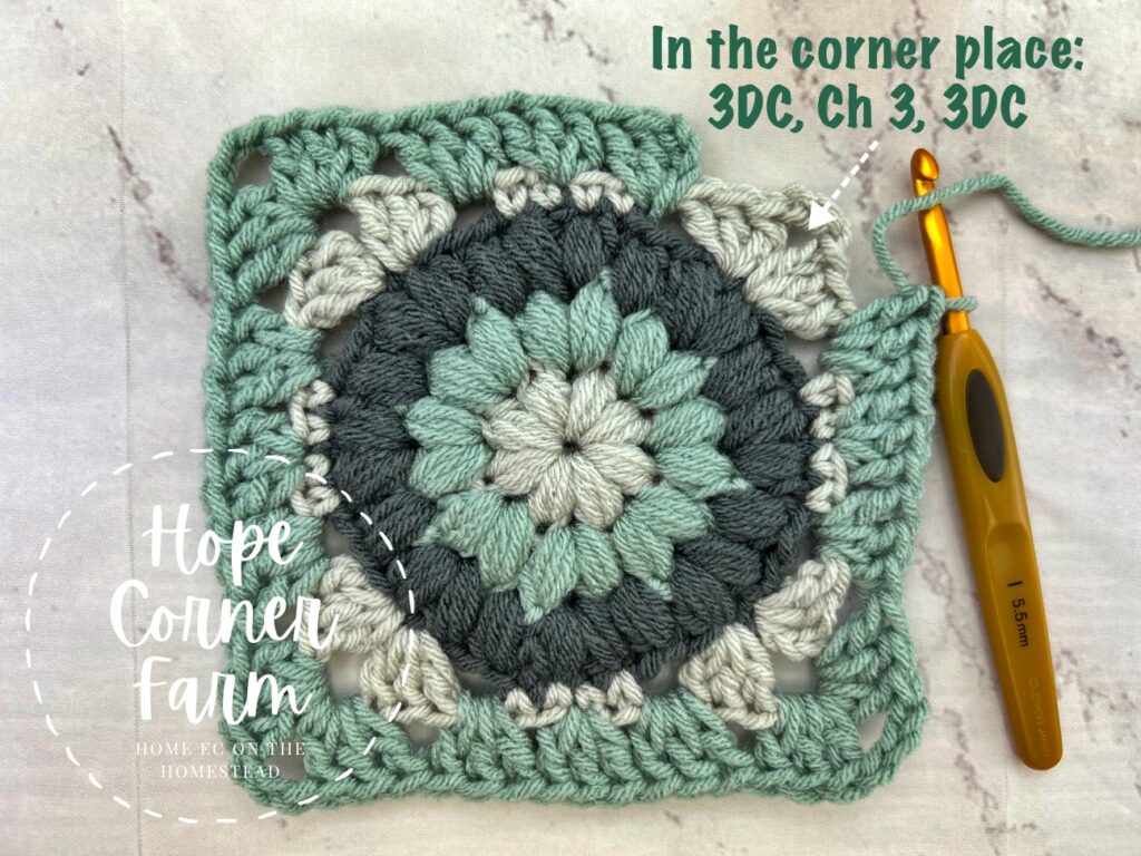 In the corner place 3 DC, Ch 3, 3DC