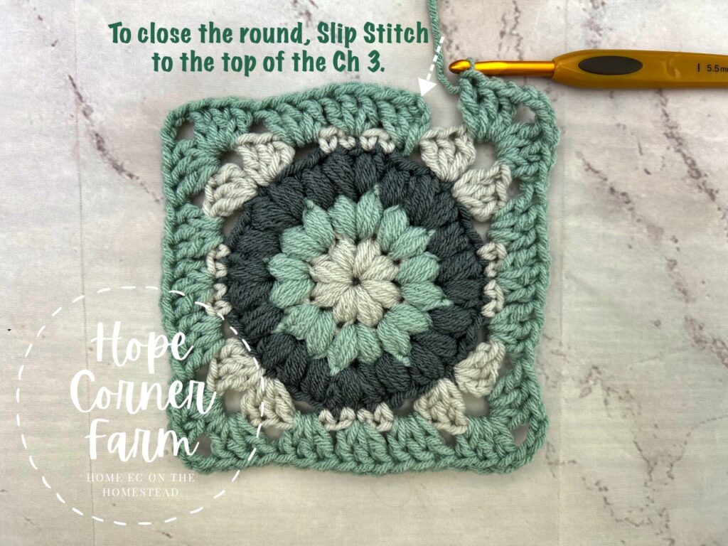 Slip Stitch placement for round 5 of the Puff Flower Granny Square