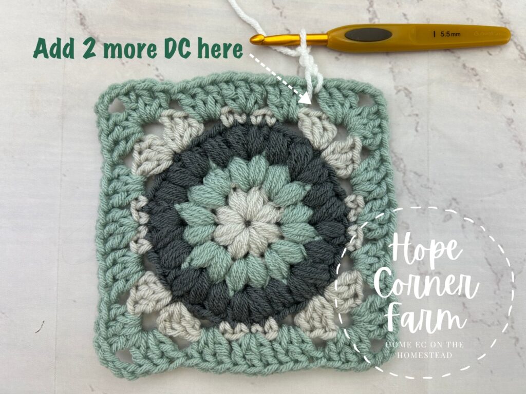 Add 2 more double crochets here