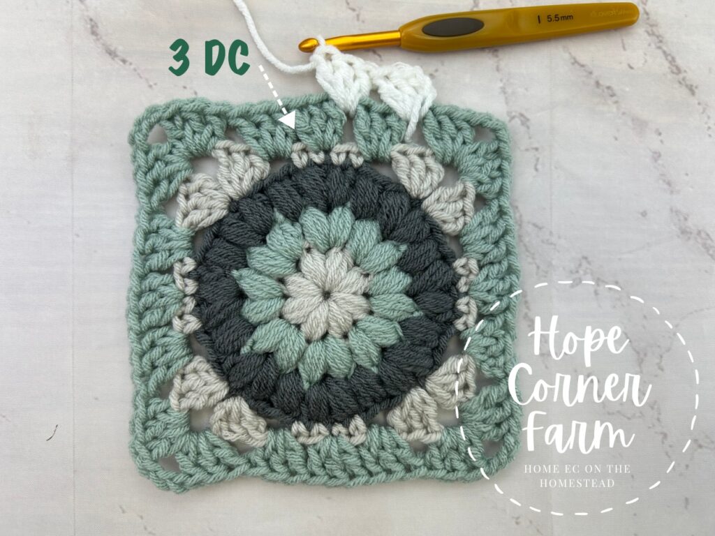 Crochet 3 DC here