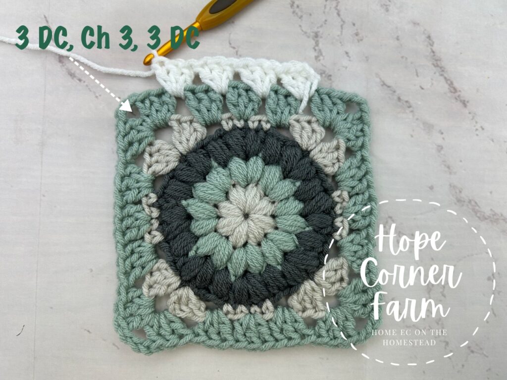 Put 3 Double Crochets, Chain 3, 3 DC in this space