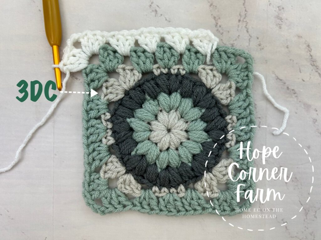 3 double crochets here