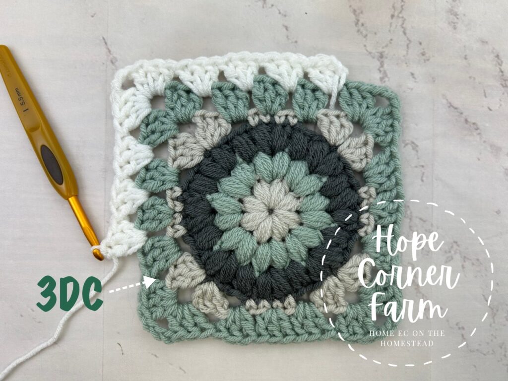 3 DC in the next space