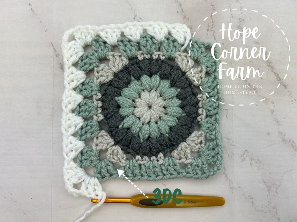 Place 3 Double Crochets in the next gap