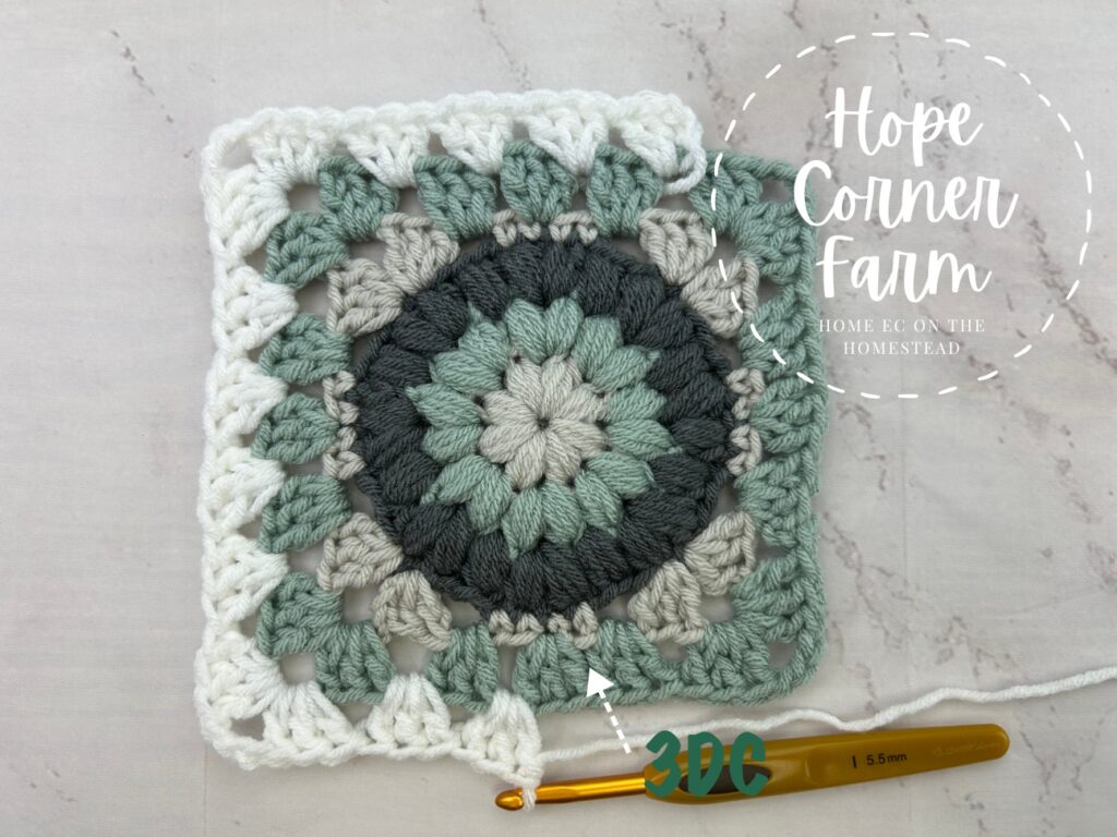 Puff Flower Granny Square Tutorial